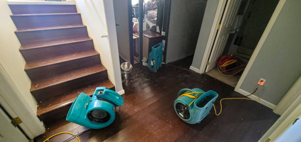 Carpet water damage restoration in Salem Heights, OH