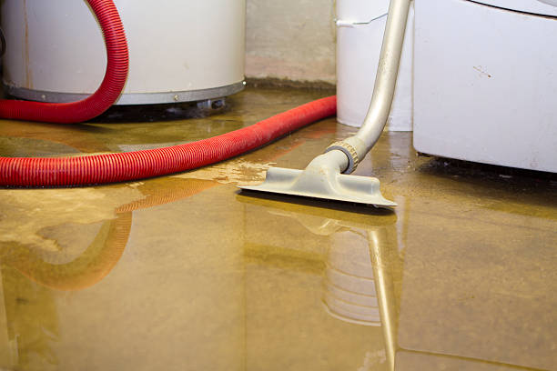 Best Water damage cleanup near me  in Salem Heights, OH